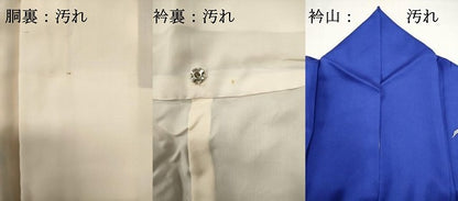 平和屋着物■訪問着　枝花文　正絹　逸品　DABI0593cd