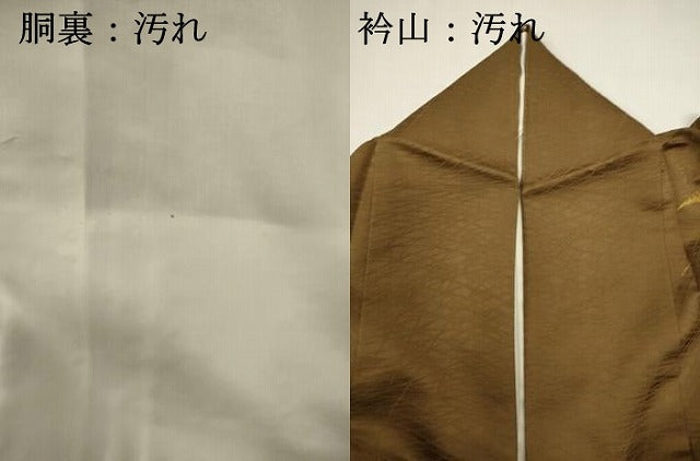 平和屋着物■訪問着　草葉文　金彩　正絹　逸品　DABI0596cd