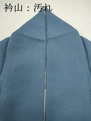 平和屋着物■服飾評論家　市田ひろみ　色無地　舞花地紋　薄群青色　正絹　逸品　DABI0602cd