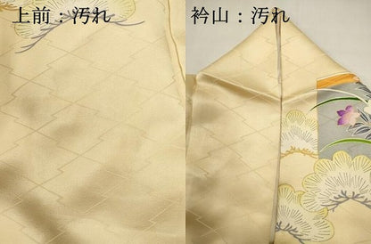 平和屋着物■豪華振袖　駒刺繍　草花文　牡丹　金銀彩　正絹　逸品　DABI0633cd