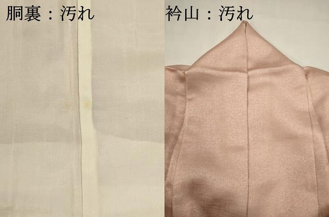 平和屋着物■訪問着　藤花房　暈し染め　金銀彩　正絹　逸品　DABI0655cd