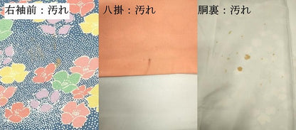 平和屋着物■上質な小紋　舞花文　正絹　逸品　DABI0687cd
