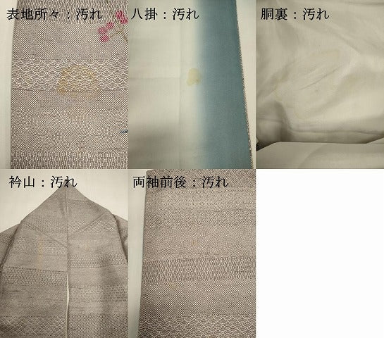 平和屋着物■訪問着　江戸小紋　紬地　南天文　正絹　逸品　DABI0696cd