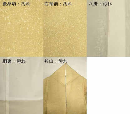 平和屋着物■訪問着　風景文　暈し染め　正絹　逸品　DABI0698cd