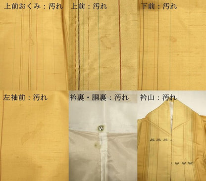 平和屋着物■上質な紬　抽象文　正絹　逸品　DABI0714cd