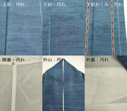 平和屋着物■上質な紬　立涌間道　暈し染め　正絹　逸品　DABI0756cd