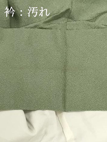 平和屋着物■江戸小紋　鮫小紋柄　鬼しぼ縮緬　正絹　逸品　DABI0776cd