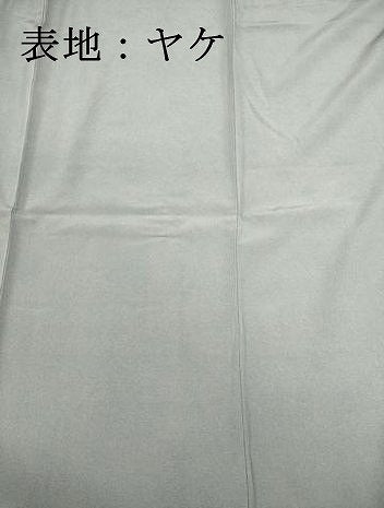 平和屋着物■江戸小紋　作家物　鮫小紋柄　正絹　逸品　DABI0781cd