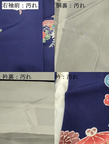 平和屋着物■上質な小紋　型染め　草花文　鬼しぼ縮緬　正絹　逸品　DABI0785cd