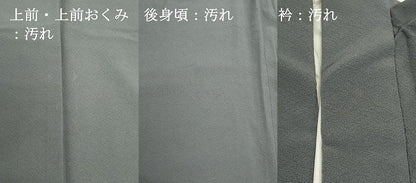 平和屋着物■上質な色無地　鉛色　正絹　逸品　DABI0791cd