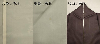 平和屋着物■訪問着　刺繍　葡萄文　金彩　正絹　逸品　DABI0796cd