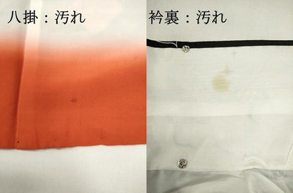 平和屋着物■上質な小紋　絞り　枝花文　黒地　正絹　逸品　DABI0822cd