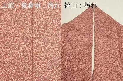 平和屋着物■上質な小紋　南天文　正絹　逸品　DABI0839cd