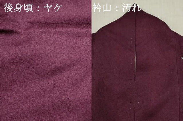 平和屋着物■豪華振袖　駒刺繍　舞梅　舞桜　暈し染め　金彩　正絹　逸品　DABI0842cd
