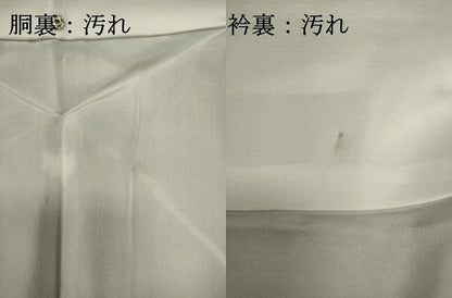 平和屋着物■上質な色無地　霞地紋　海松茶色　正絹　逸品　DABI0908cd