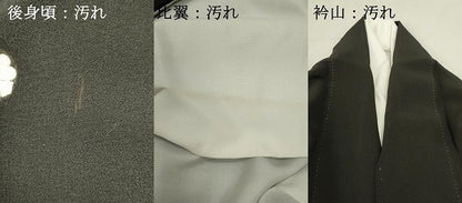 平和屋着物■豪華黒留袖　駒刺繍　御所車花文　金彩　正絹　逸品　DABI0953cd