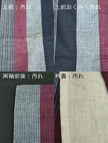平和屋着物∴夏物　阿波しじら織　浴衣　間道　綿　逸品　DABI0998cd