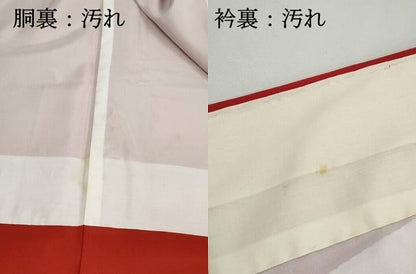 平和屋着物■振袖　手描き　花蝶文　洗える着物　DABI1555qa