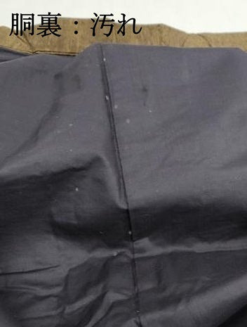 平和屋着物■男性　紬　霞文　正絹　逸品　DABI1600qa