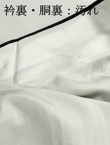 平和屋着物■上質な紬　間道　正絹　逸品　DABI1609qa