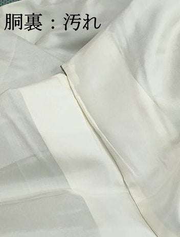 平和屋着物■上質な紬　十字絣　正絹　逸品　DABI1610qa