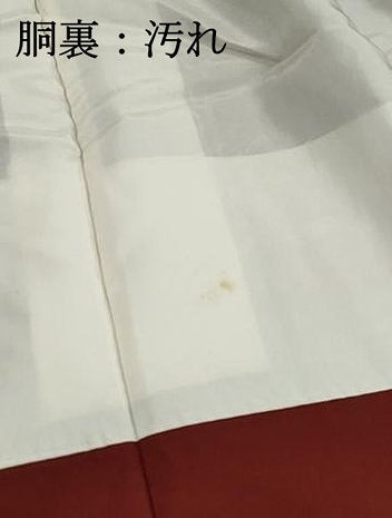 平和屋着物■上質な紬　間道　正絹　逸品　DABI1613qa