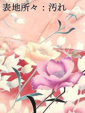 平和屋着物■豪華振袖　枝花牡丹文　暈し染め　銀彩　正絹　逸品　DABI1617qa