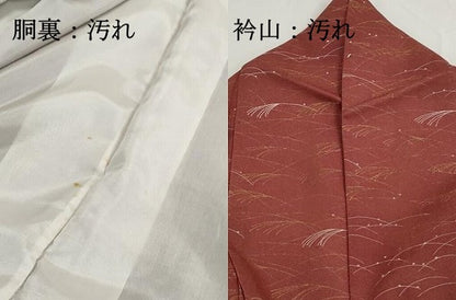 平和屋着物■上質な小紋　露芝地紋　芒　ススキ　金彩　正絹　逸品　DABI1620qa