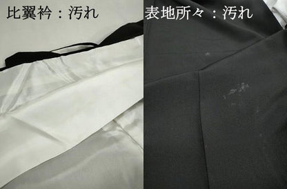 平和屋着物■豪華黒留袖　孔雀花松文　金彩　正絹　逸品　DABI1622qa