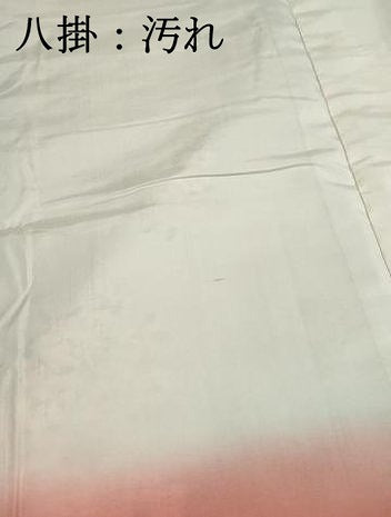平和屋着物■天山紬　草花文　証紙付き　正絹　逸品　DABI1770qa