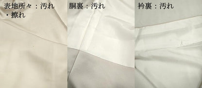平和屋着物■染色作家　安達華生　訪問着　風景群鶴文　正絹　逸品　DABI1783qa