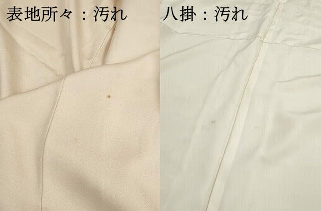 平和屋着物■訪問着　花車文　牡丹　暈し染め　正絹　逸品　DABI1786qa