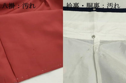 平和屋着物■上質な紬　枝椿文　正絹　逸品　DABI1805qa