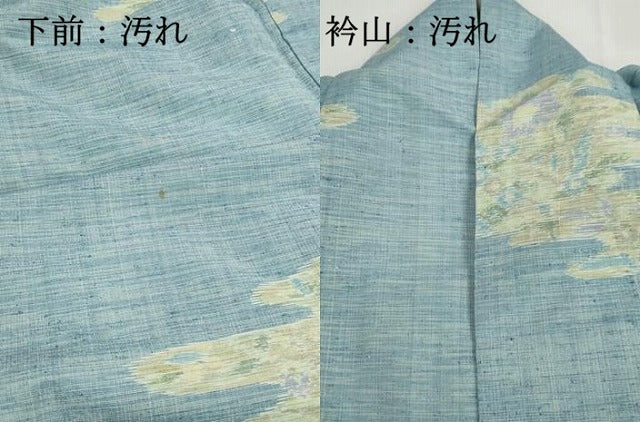 平和屋着物■小千谷紬　雲取り花文　正絹　逸品　DABI1808qa