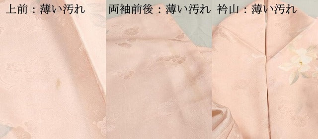平和屋着物■小紋　草花文　洗える着物　DABI1929cd