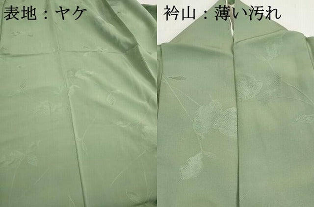 平和屋着物■上質な色無地　枝葉地紋　山葵色　正絹　逸品　DABI1967qa
