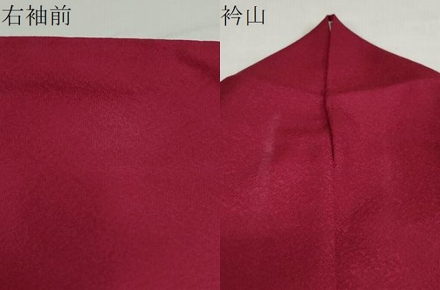 平和屋着物●豪華振袖　草花文　シルエット　暈し染め　金彩　正絹　逸品　DABI2026ud