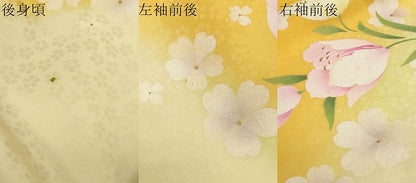 平和屋着物●小振袖　二尺袖　舞花文　金彩　洗える着物　DABI2029ud