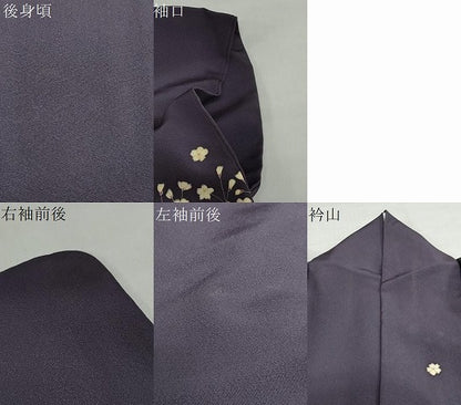平和屋着物●訪問着　枝花文　金彩　正絹　逸品　DABI2090ud