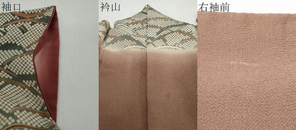 平和屋着物●訪問着　草花文　暈し染め　鬼しぼ縮緬　正絹　逸品　DABI2136ud