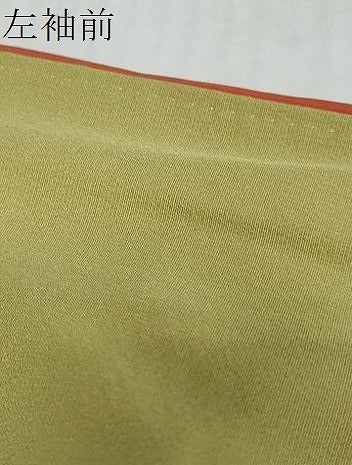 平和屋着物●訪問着　草花文　暈し染め　金銀彩　正絹　逸品　DABI2148ud