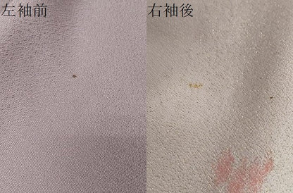 平和屋着物●訪問着　寿光織　修学院離宮　暈し染め　金糸　正絹　逸品　DABI2166ud