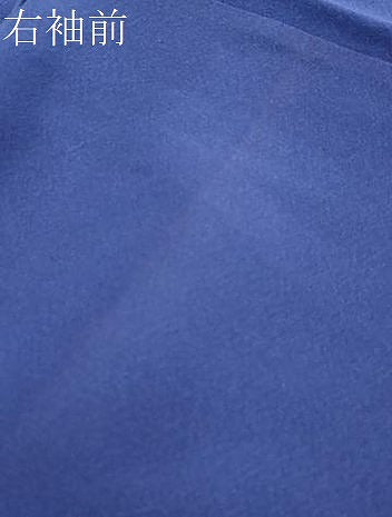 平和屋着物●訪問着　刺繍　枝梅文　暈し染め　金彩　正絹　逸品　未使用　DABI2196ud