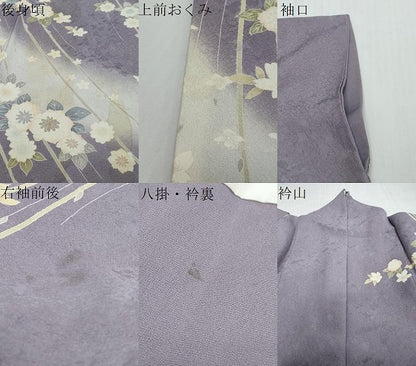 平和屋着物●訪問着　草花文　暈し染め　金彩　正絹　逸品　DABI2197ud