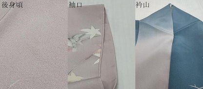 平和屋着物●十日町友禅作家　松雨　訪問着　花鳥文　暈し染め　金彩　正絹　逸品　DABI2206ud
