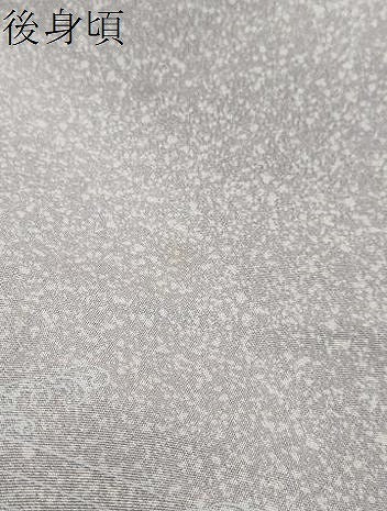 平和屋着物●訪問着　流水風景草花文　金彩　正絹　逸品　DABI2263ud