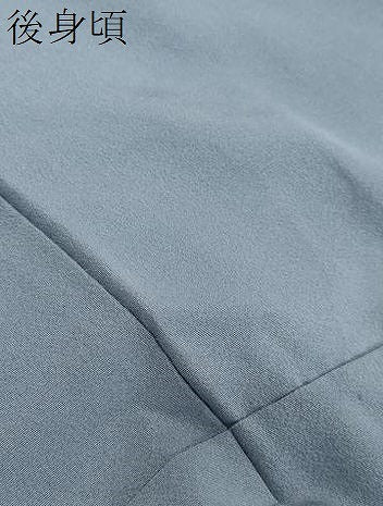 平和屋着物●訪問着　友禅　草花文　暈し染め　正絹　逸品　DABI2282ud