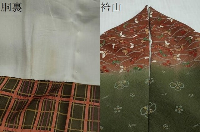 平和屋着物●訪問着　花蝶文　暈し染め　金彩　正絹　逸品　DABI2292ud