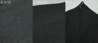 平和屋着物●訪問着　孔雀花文　暈し染め　黒地　金銀彩　正絹　逸品　DABI2302ud