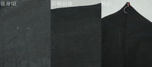平和屋着物●訪問着　孔雀花文　暈し染め　黒地　金銀彩　正絹　逸品　DABI2302ud
